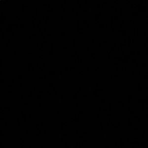 Meet your Posher, Kenny